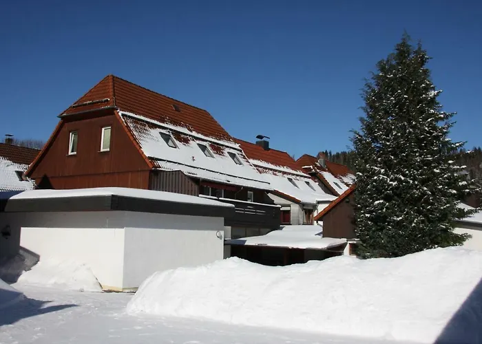 Harz-sonne Апартаменты *